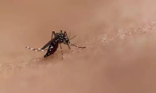 तमिलनाडु में चिकुनगुनिया का बढ़ा खतरा, सरकार ने जारी किया स्टेटवाइड अलर्ट, जानें लक्षण और बचाव के तरीके तमिलनाडु में चिकुनगुनिया का बढ़ा खतरा, सरकार ने जारी किया स्टेटवाइड अलर्ट, जानें लक्षण और बचाव के तरीके