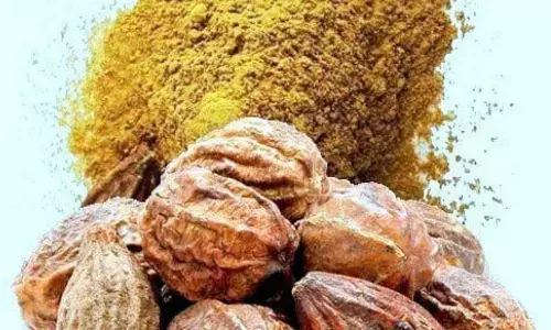 हरड़ को क्यों कहा जाता है अमृत? आयुर्वेद से जानिए चमत्कारी फायदे