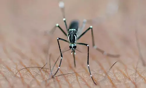 डेंगू की गंभीरता और विटामिन D का संबंध, क्या कम विटामिन D बढ़ा रहा है खतरा? डेंगू की गंभीरता और विटामिन D का संबंध, क्या कम विटामिन D बढ़ा रहा है खतरा?