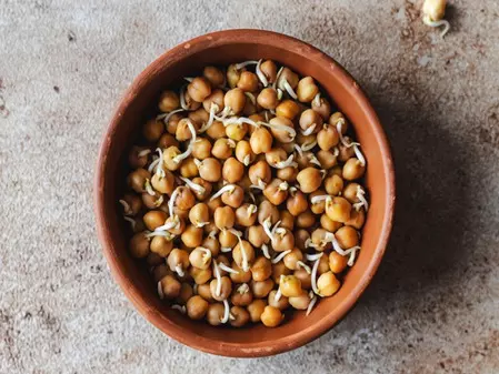 काला चना: पाचन में हल्का, मांसपेशियों के लिए ताकतवर आहार काला चना: पाचन में हल्का, मांसपेशियों के लिए ताकतवर आहार