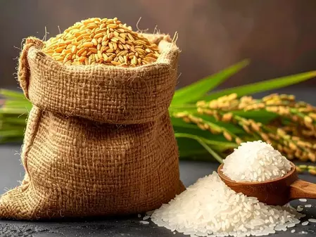 चावल बनाम गेहूं: जानें कौन सेहत के लिए बेहतर और कौन हानिकारक है