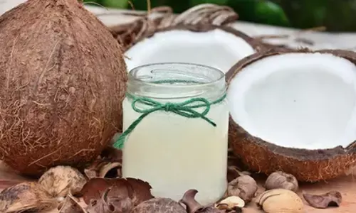 नारियल: पानी से लेकर तेल तक, हर चीज में स्वास्थ्य और सुंदरता का खजाना नारियल: पानी से लेकर तेल तक, हर चीज में स्वास्थ्य और सुंदरता का खजाना