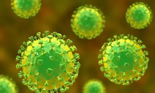 निपाह वायरस अपडेट: WHO ने भारत में संक्रमण के जोखिम को बताया कम, चीन ने भी बढ़ाई चौकसी