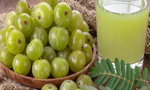 साधारण जल नहीं, बेहद गुणकारी है आवंले का पानी, पेट से लेकर रक्त की शुद्धि में लाभकारी