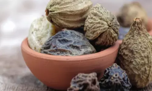 त्रिफला वात दोष संतुलन के लिए फायदेमंद है, जानें सही सेवन का तरीका