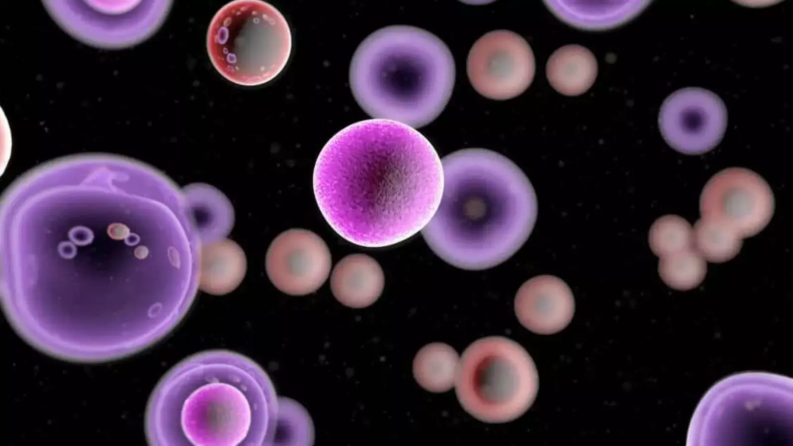 स्क्रीनिंग: कैंसर को हराने का स्मार्ट तरीका , विश्व कैंसर दिवस पर सतर्कता की नई परिभाषा