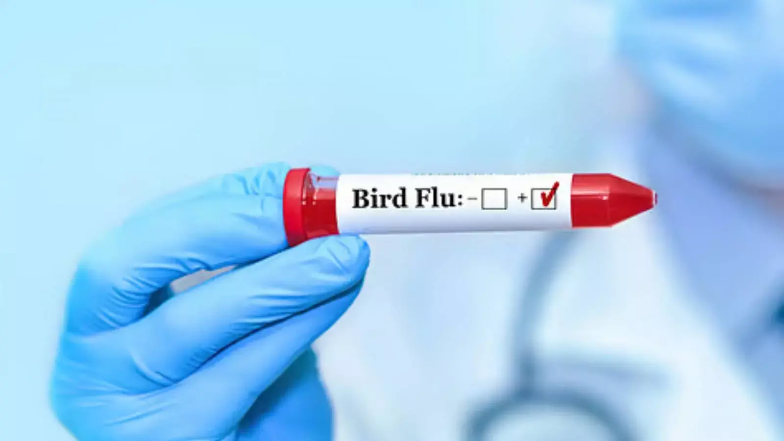 चेन्नई में बर्ड फ्लू की दस्तक, कौवों में मिला H5N1 वायरस, तमिलनाडु सरकार ने जारी की एडवाइजरी