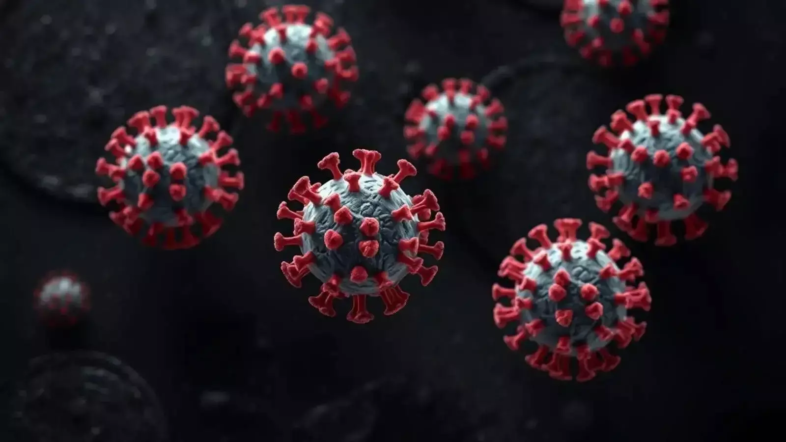 H5N1 वायरस (बर्ड फ्लू) क्या है? लक्षण, प्रसार और बचाव के तरीके