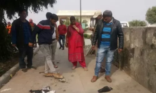 तमिलनाडु में कौवों की मौत के बाद बर्ड फ्लू का अलर्ट, लोगों को सावधानी बरतने की सलाह