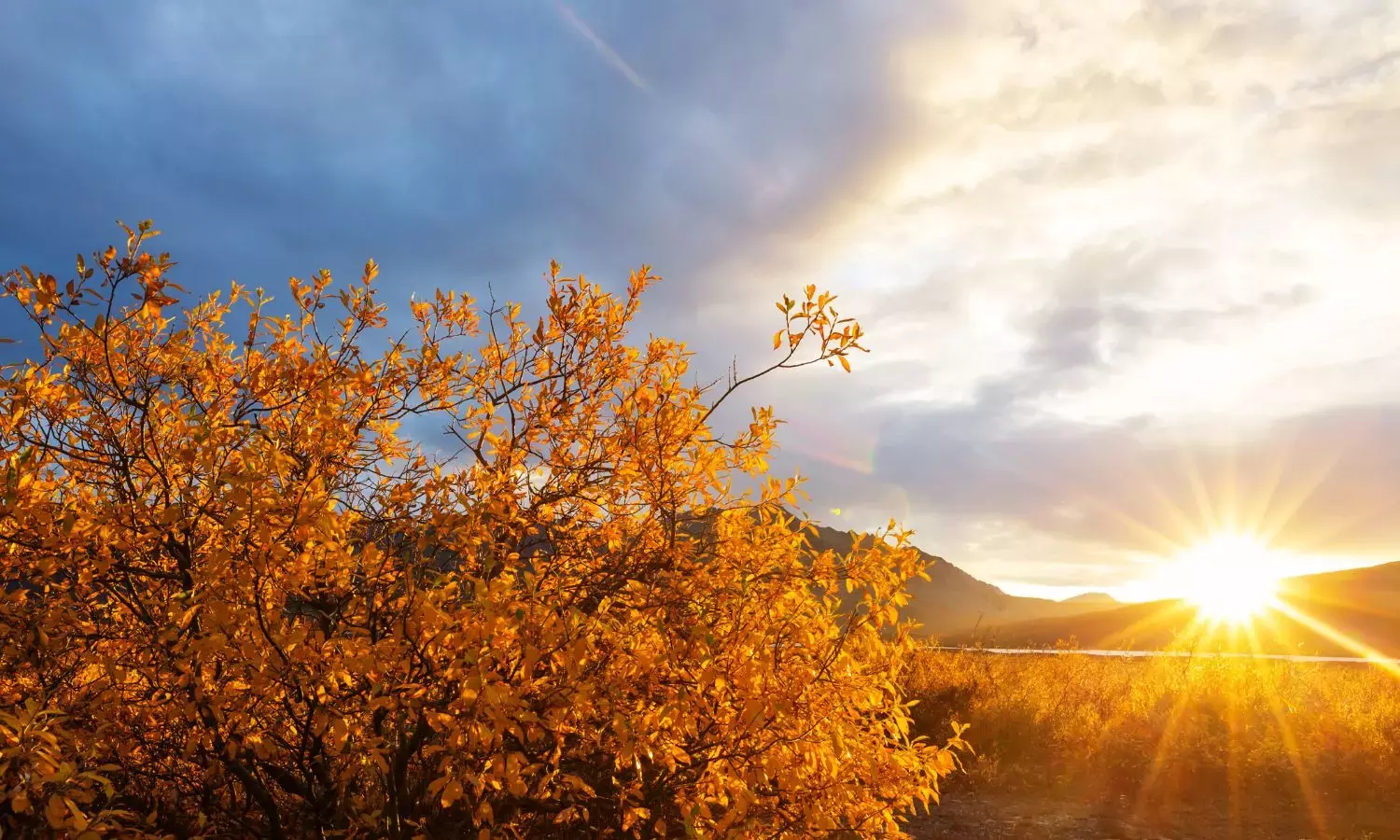 हवा बदलते ही बदलें जीवनशैली, यूनानी चिकित्सा से जानें हर मौसम में अच्छी सेहत का मंत्र