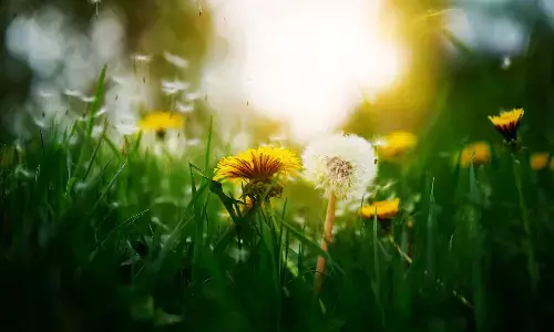 वसंत ऋतु में आहार परिवर्तन देगा बेहतर नींद, खांसी-जुकाम से भी मिलेगा छुटकारा वसंत ऋतु में आहार परिवर्तन देगा बेहतर नींद, खांसी-जुकाम से भी मिलेगा छुटकारा