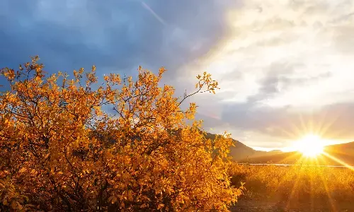 हवा बदलते ही बदलें जीवनशैली, यूनानी चिकित्सा से जानें हर मौसम में अच्छी सेहत का मंत्र हवा बदलते ही बदलें जीवनशैली, यूनानी चिकित्सा से जानें हर मौसम में अच्छी सेहत का मंत्र