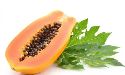 सिर्फ पपीता ही नहीं, बीज और पत्ते भी हैं लाभकारी, आयुर्वेद से जानें लाभ सिर्फ पपीता ही नहीं, बीज और पत्ते भी हैं लाभकारी, आयुर्वेद से जानें लाभ