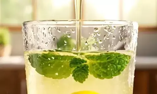 गर्म पानी में मिलाएं पुदीना-नींबू-शहद, हेल्दी ड्रिंक से पाचन में सुधार और दमक उठेगा चेहरा