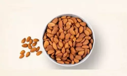 दिल और दिमाग का खास ख्याल रखता है ये छोटा सा ड्राई फ्रूट, सुपरफूड के लाभ अनेक दिल और दिमाग का खास ख्याल रखता है ये छोटा सा ड्राई फ्रूट, सुपरफूड के लाभ अनेक