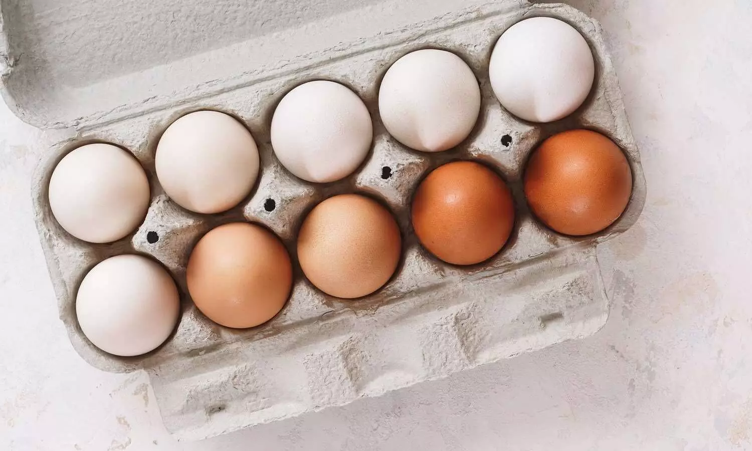 ब्राउन एग बनाम व्हाइट एग, क्या वाकई भूरे अंडे सफेद से ज्यादा पौष्टिक होते हैं? एक्सपर्ट से जानें सच ब्राउन एग बनाम व्हाइट एग, क्या वाकई भूरे अंडे सफेद से ज्यादा पौष्टिक होते हैं? एक्सपर्ट से जानें सच