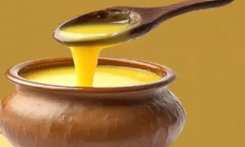 जीरो-फैट का कॉन्सेप्ट बिगाड़ सकता है सेहत, जानें कितनी जरूरी है शरीर के लिए वसा