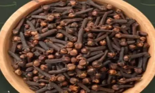 गर्मियों में शरीर को ठंडा रखने में लौंग करेगी मदद, बस जान लें ये शानदार टिप्स गर्मियों में शरीर को ठंडा रखने में लौंग करेगी मदद, बस जान लें ये शानदार टिप्स