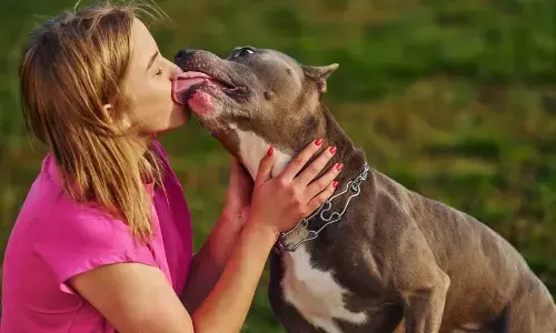 पालतू कुत्ते का चाटना पड़ सकता है भारी, महिला को गंवानी पड़ी दोनों हाथ और पैर, जानें क्या है सेप्सिस का खतरा पालतू कुत्ते का चाटना पड़ सकता है भारी, महिला को गंवानी पड़ी दोनों हाथ और पैर, जानें क्या है सेप्सिस का खतरा