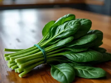 सुपरफूड पालक के सेवन से हो सकती है पथरी से लेकर जोड़ों में दर्द की परेशानी, इन लोगों को बरतनी चाहिए सावधानी सुपरफूड पालक के सेवन से हो सकती है पथरी से लेकर जोड़ों में दर्द की परेशानी, इन लोगों को बरतनी चाहिए सावधानी