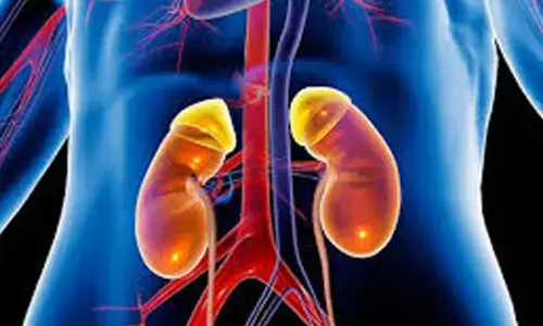 विश्व किडनी दिवस 2026, क्या है इस साल की थीम? जानें किडनी को स्वस्थ रखने के आसान उपाय