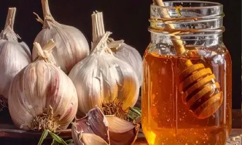सेहत के लिए संजीवनी है शहद और लहसुन का मिश्रण, हृदय रोगों में लाभकारी