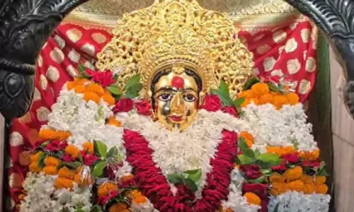 नवरात्र विशेष, भगवती को अति प्रिय ये लाल फल, सेहत के लिए वरदान से कम नहीं