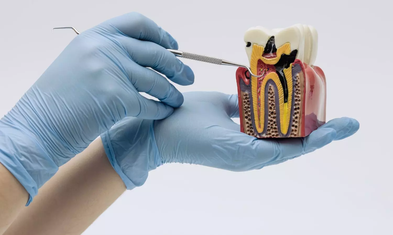 Government Announces National Dental Commission to Improve Dental Education and Healthcare Quality Government Announces National Dental Commission to Improve Dental Education and Healthcare Quality