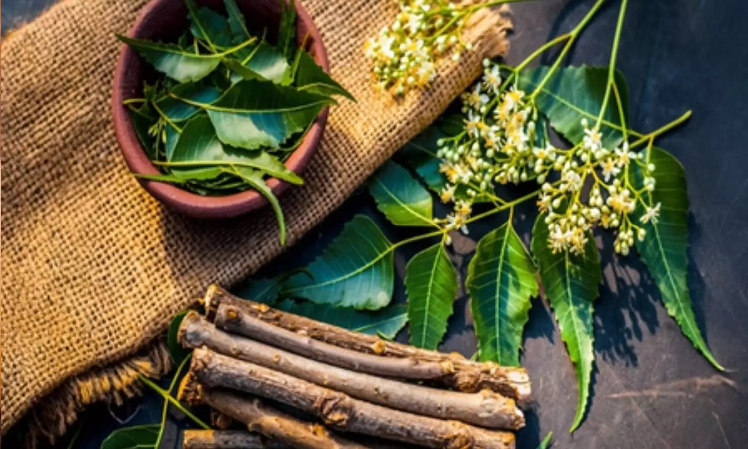 वर्ल्ड ओरल हेल्थ डे : ब्रश से सौ गुना बेहतर दातुन, नीम से जामुन तक, मौसम के अनुसार करें इस्तेमाल वर्ल्ड ओरल हेल्थ डे : ब्रश से सौ गुना बेहतर दातुन, नीम से जामुन तक, मौसम के अनुसार करें इस्तेमाल