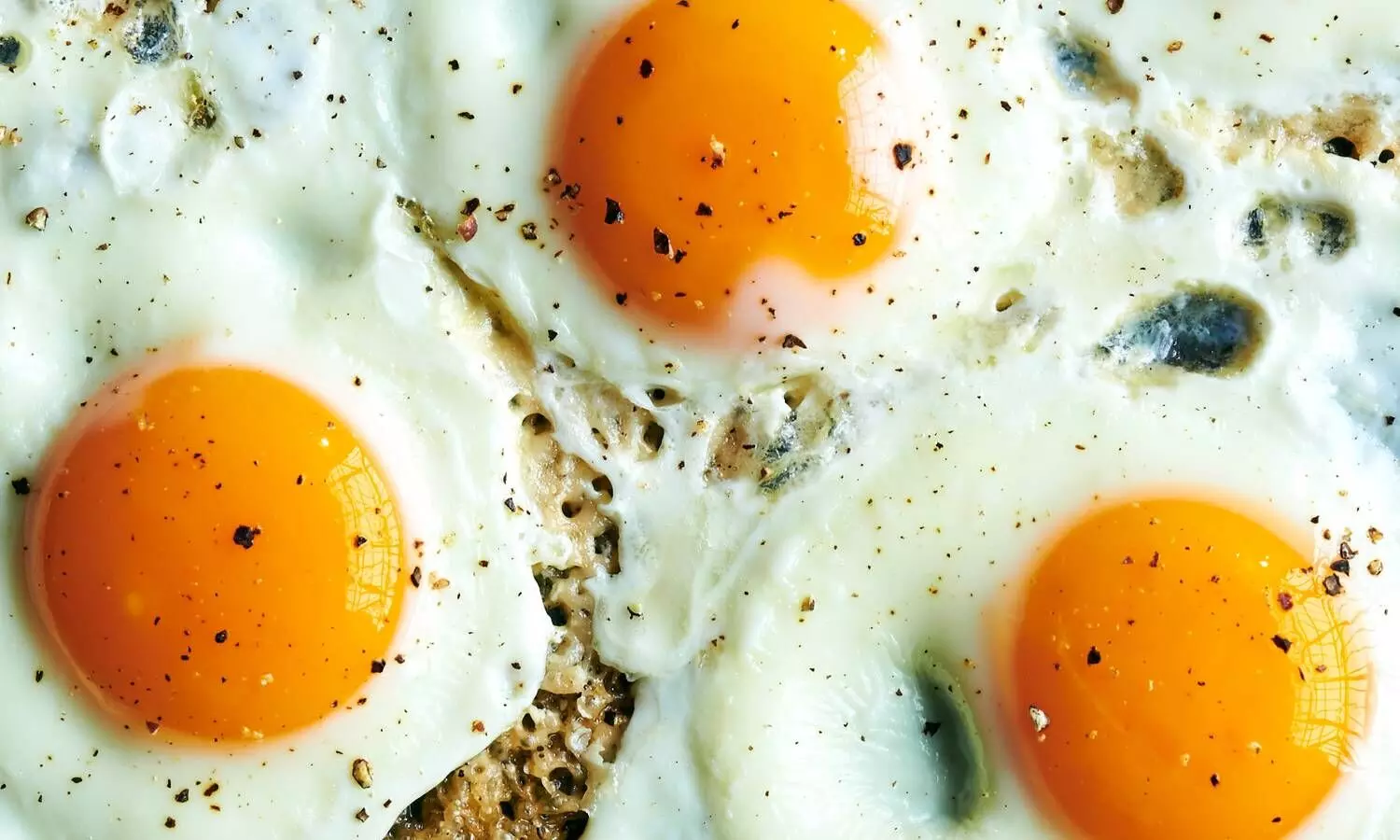 Health Tips: क्या होगा अगर आप रोज 2 हफ्ते तक अंडे खाएं? AIIMS के डॉक्टर ने बताए इसके चौंकाने वाले फायदे Health Tips: क्या होगा अगर आप रोज 2 हफ्ते तक अंडे खाएं? AIIMS के डॉक्टर ने बताए इसके चौंकाने वाले फायदे