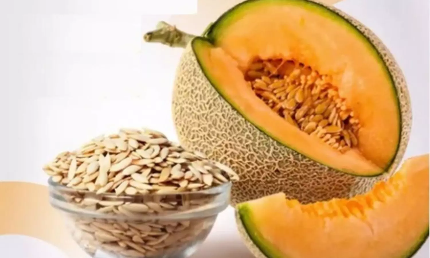 इम्युनिटी बूस्ट से लेकर बीपी कंट्रोल तक, खरबूजे के बीज के फायदे इम्युनिटी बूस्ट से लेकर बीपी कंट्रोल तक, खरबूजे के बीज के फायदे