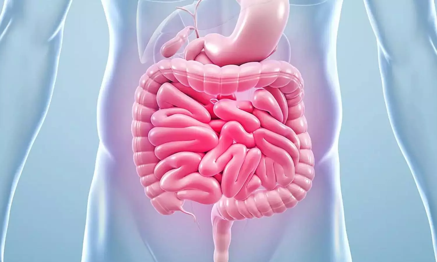 Stomach Bloating: पेट के भारीपन और गैस से हैं परेशान? डाइट में शामिल करें ये 10 चीजें, तुरंत मिलेगी राहत! Stomach Bloating: पेट के भारीपन और गैस से हैं परेशान? डाइट में शामिल करें ये 10 चीजें, तुरंत मिलेगी राहत!