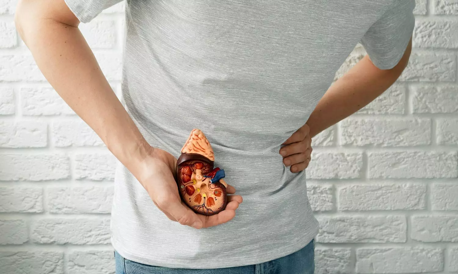 डॉक्टर से जानें, किडनी स्टोन हो तो कैसी हो डाइट, क्या खाना चाहिए क्या नहीं डॉक्टर से जानें, किडनी स्टोन हो तो कैसी हो डाइट, क्या खाना चाहिए क्या नहीं