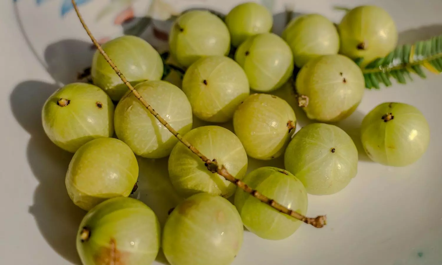 आंवला शरबत: गर्मी में राहत देने वाला नेचुरल हेल्थ ड्रिंक आंवला शरबत: गर्मी में राहत देने वाला नेचुरल हेल्थ ड्रिंक